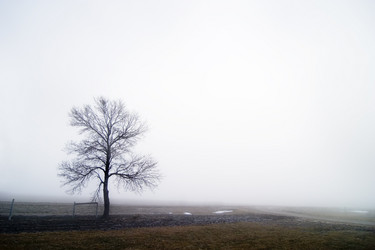 Similar image 1527132