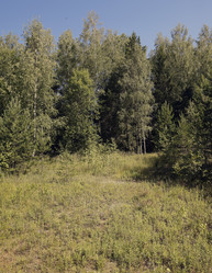 Similar image 1527164