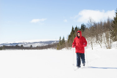 Similar image 1527167