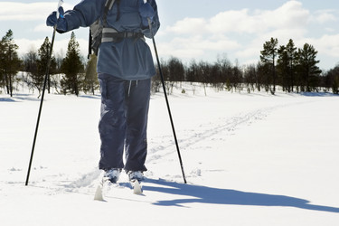 Similar image 1527170