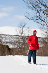 Similar image 1527180