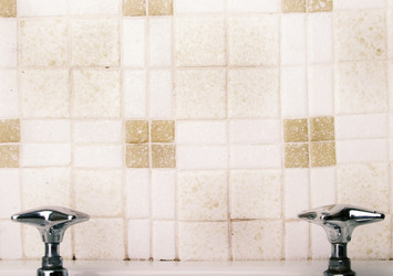 Similar image 1527183