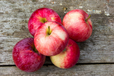 Similar image 1527184