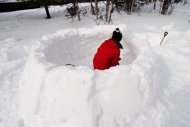 Similar image 1527215