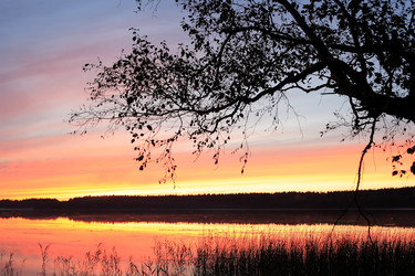 Similar image 1527265