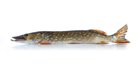 Similar image 1527270