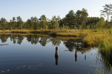 Similar image 1527288