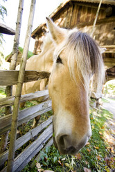 Similar image 1527548