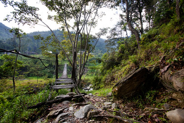 Similar image 1527660