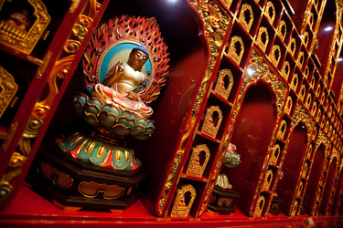 Similar image 1527731