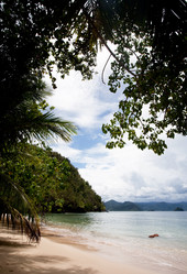 Similar image 1527737