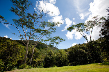 Similar image 1527762