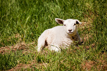 Similar image 1527806