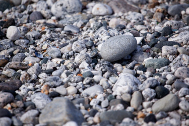 Similar image 1527832