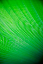 Similar image 1527849