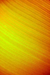 Similar image 1527881