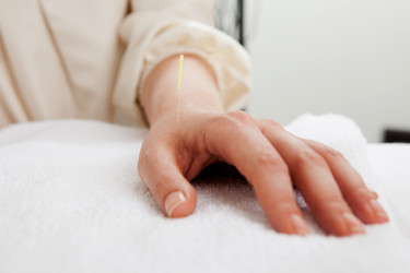 Similar image 1527911