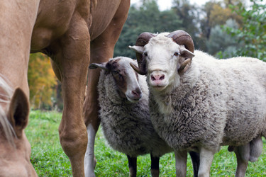 Similar image 1528384