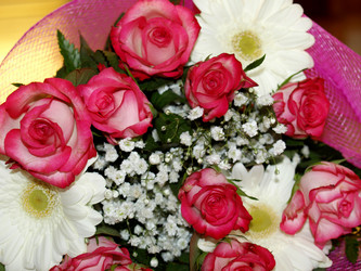 Similar image 1528405