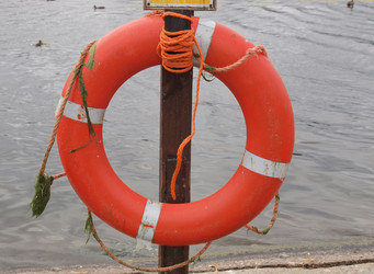 Similar image 1528516