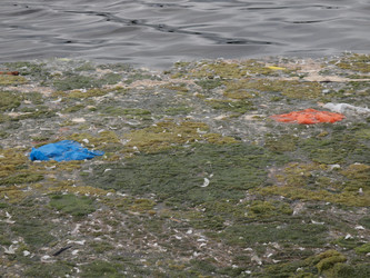 Similar image 1528560