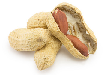 Similar image 1528753