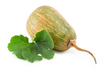 Similar image 1528754