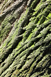 Similar image 1528806