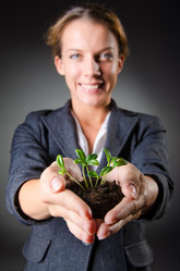 Similar image 1528840