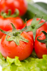 Similar image 1528841