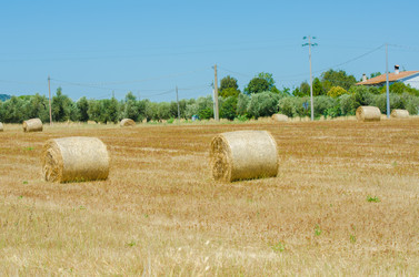 Similar image 1528911