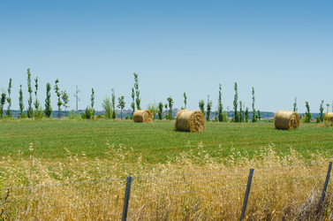 Similar image 1528924