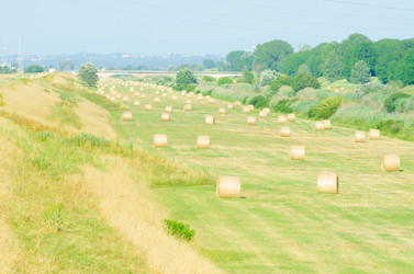 Similar image 1528929