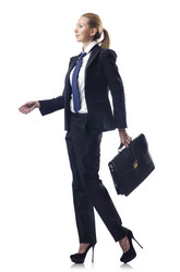 Similar image 1528940