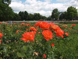 Similar image 1528968