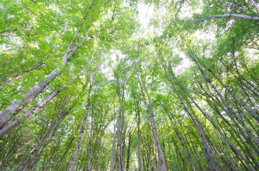 Similar image 1529055