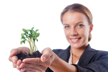 Similar image 1529167