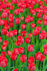 Similar image 1529269