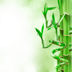 Similar image 1529295