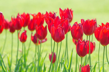 Similar image 1529356