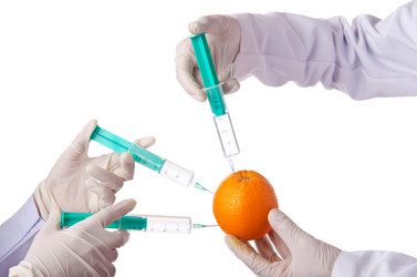 Similar image 1529452