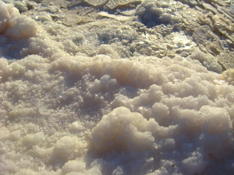 Similar image 1529512