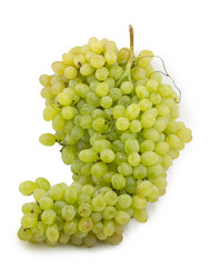 Similar image 1529522