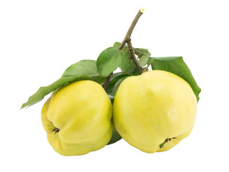 Similar image 1529523