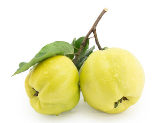 Similar image 1529524