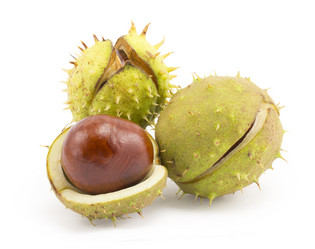 Similar image 1529525