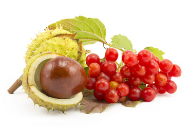 Similar image 1529526