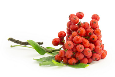 Similar image 1529528