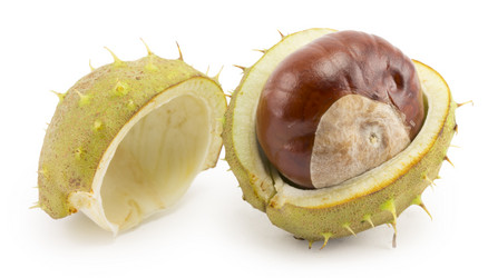 Similar image 1529533