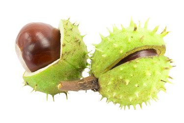 Similar image 1529534